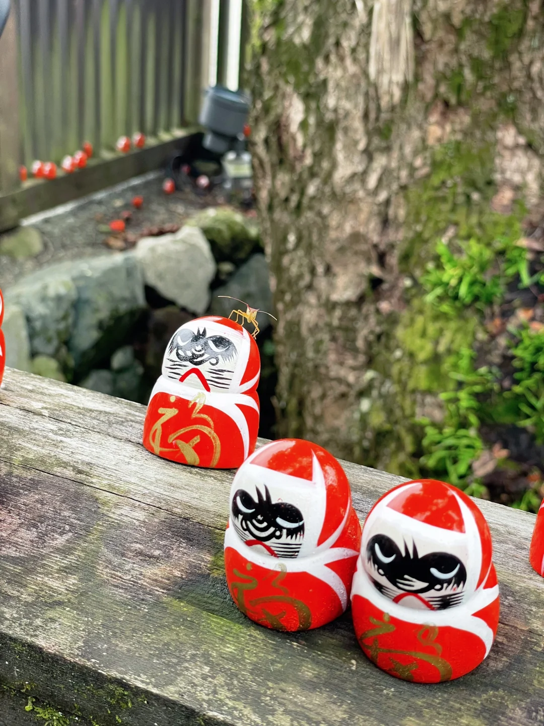 Osaka-Katsuoji Temple in Osaka, Daruma dolls are everywhere and very cute