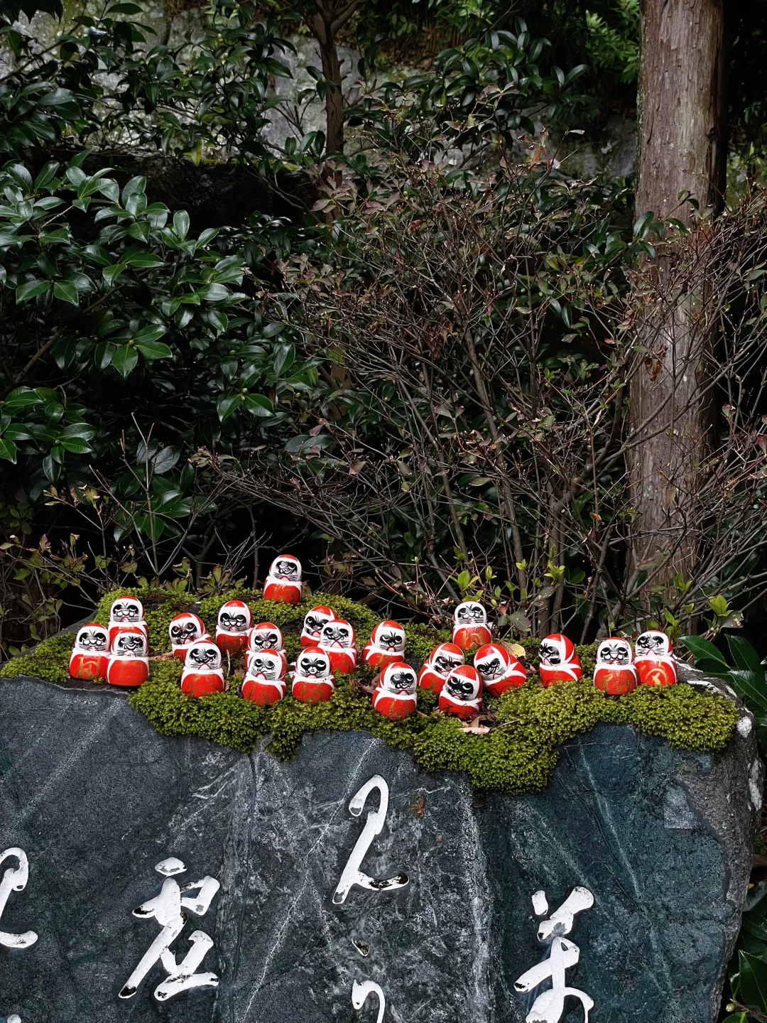 Osaka-Katsuoji Temple in Osaka, Daruma dolls are everywhere and very cute