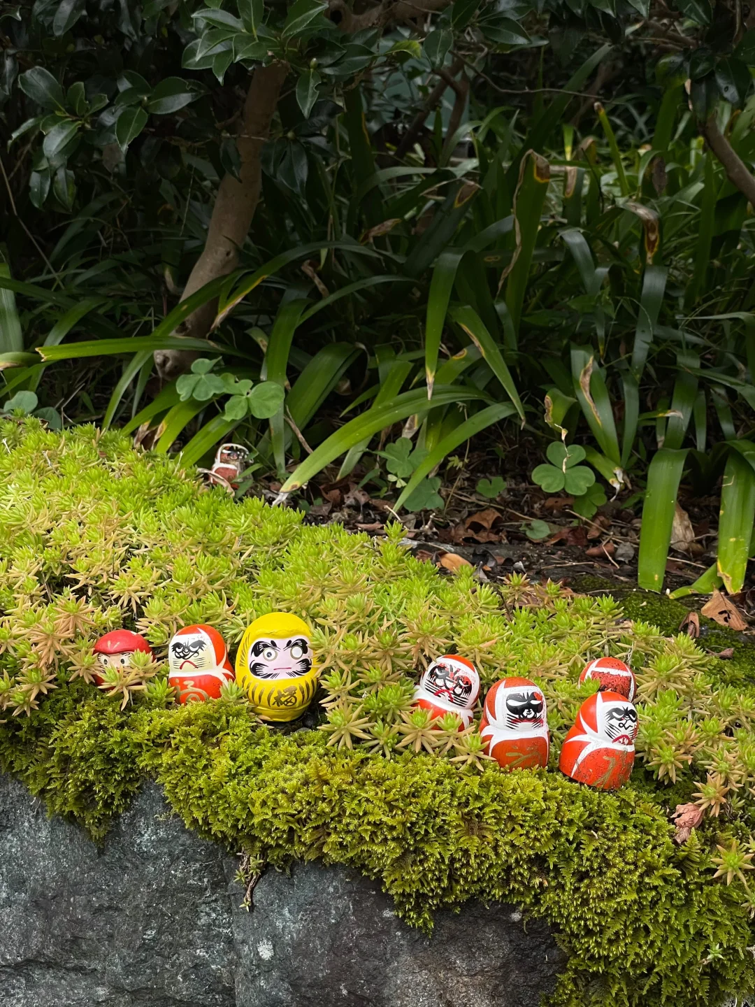 Osaka-Katsuoji Temple in Osaka, Daruma dolls are everywhere and very cute