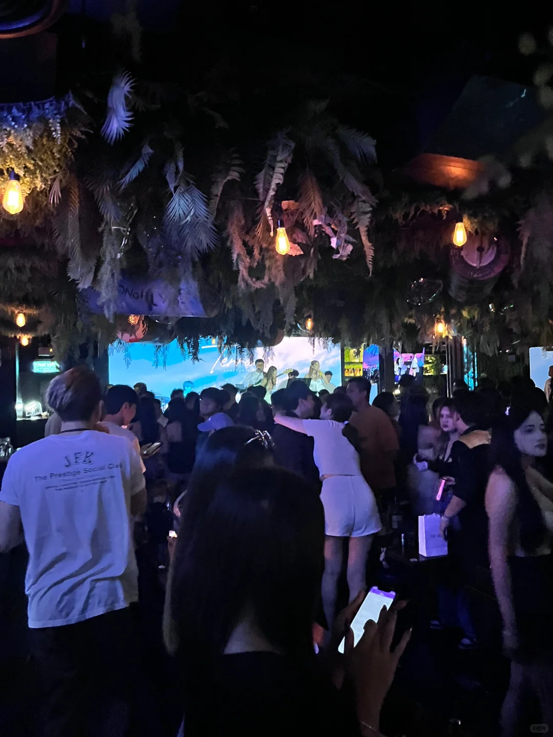 Bangkok-Terra Liberty Bar in Bangkok, Thai Songs live house nightclub