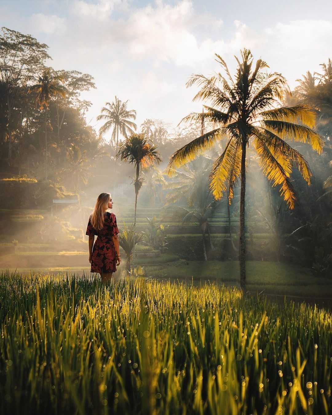 Bali-Tegallalang Rice Terrace, Ubud is so beautiful, how can you know if you don't come