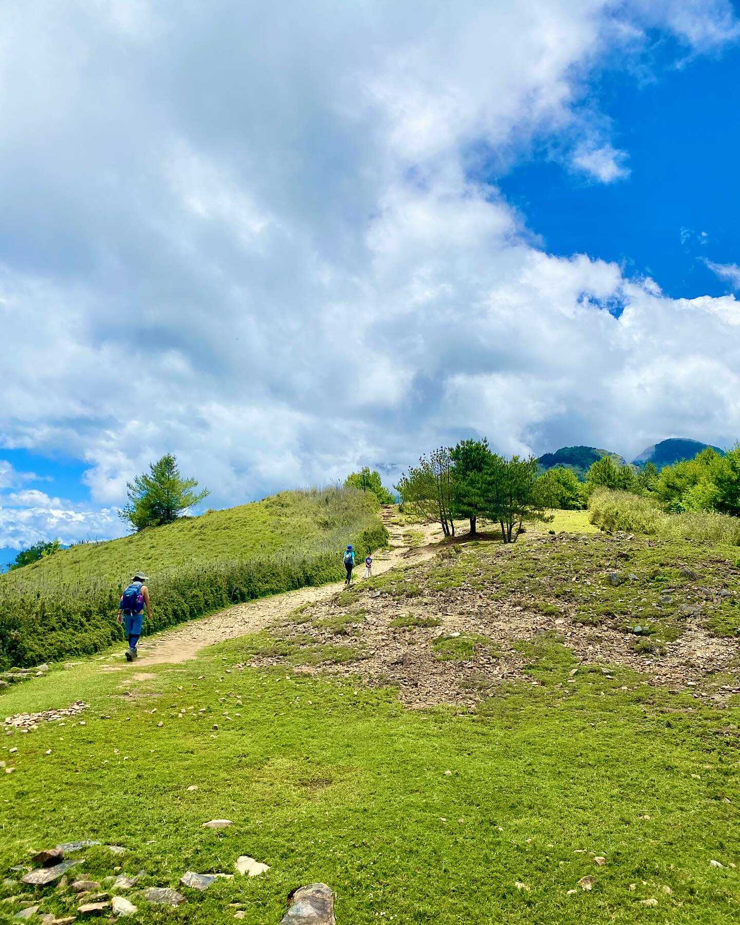 Taiwan-Yushan National Park, Xinyi Township, Nantou County - Linzhi Mountain, your hidden attraction