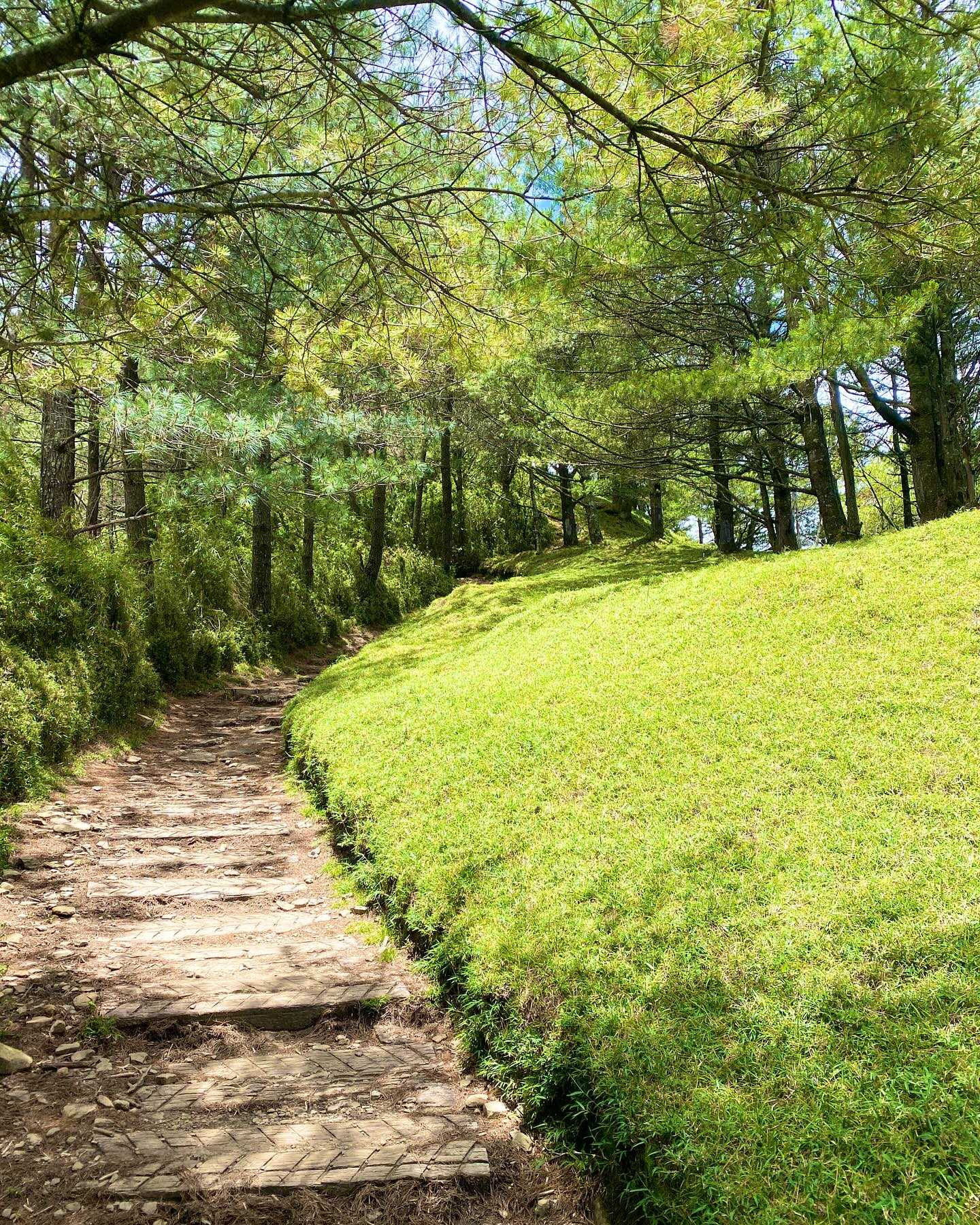 Taiwan-Yushan National Park, Xinyi Township, Nantou County - Linzhi Mountain, your hidden attraction