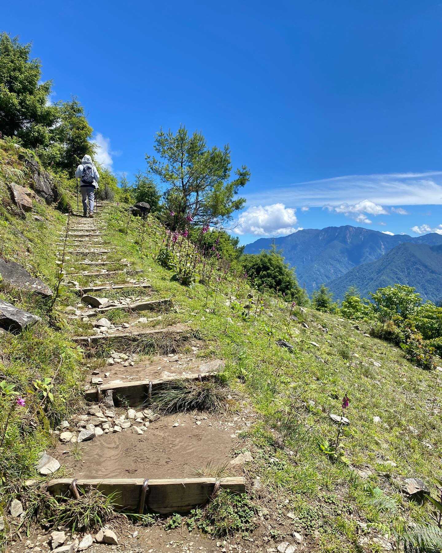 Taiwan-Yushan National Park, Xinyi Township, Nantou County - Linzhi Mountain, your hidden attraction