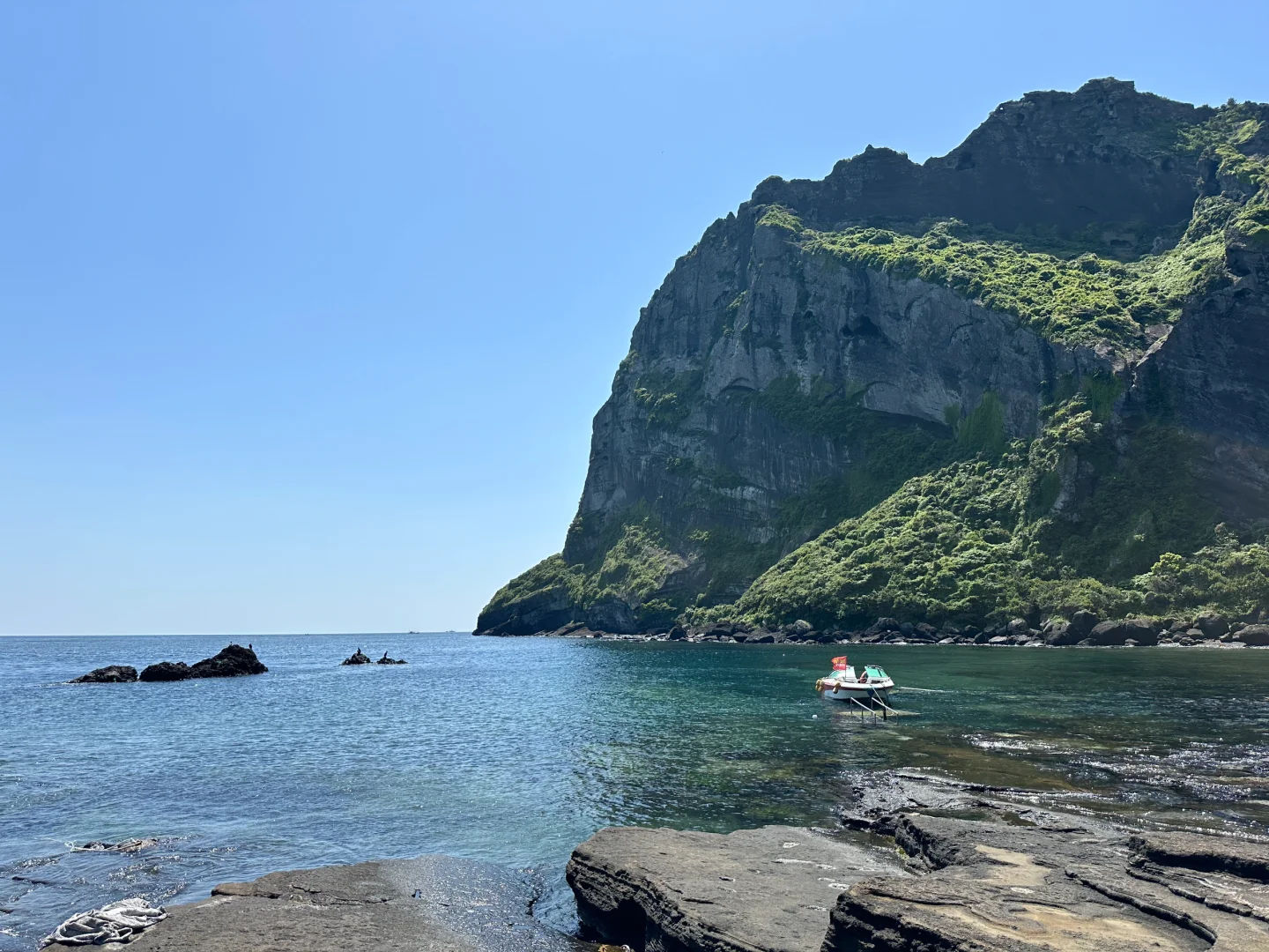 Busan/Jeju-Focus on a happy and free life｜Udo Island & Seongsan Sunrise Peak