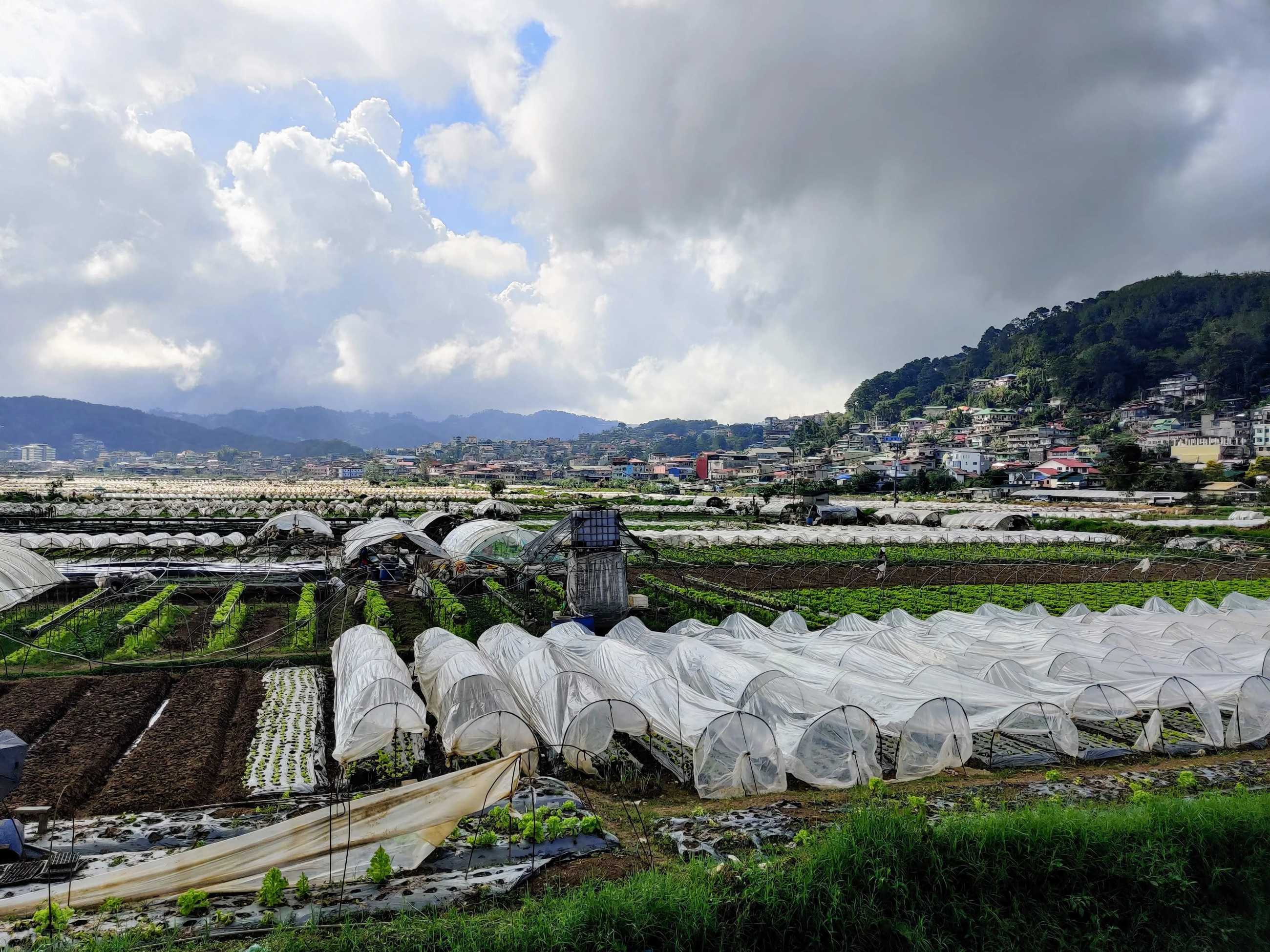 Clark/Angel City-Recently traveled to the summer capital of the Philippines. Baguio City.