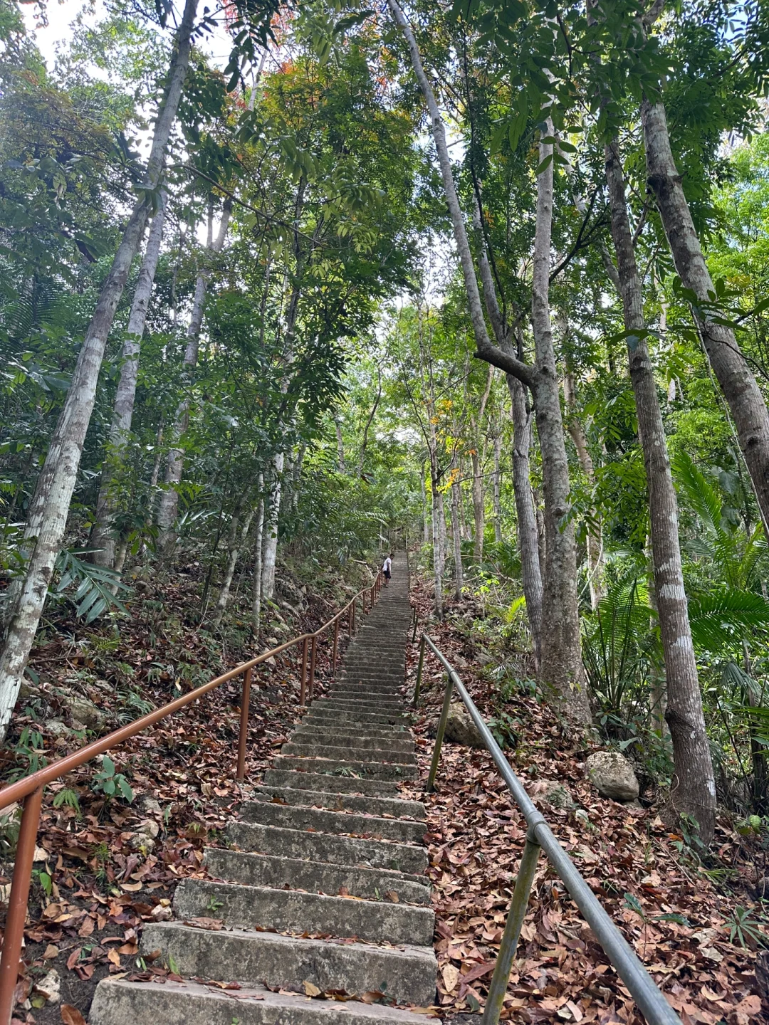 Clark/Angel City-Pahangog Falls in Bohol, the water is very clear and there are two diving spots