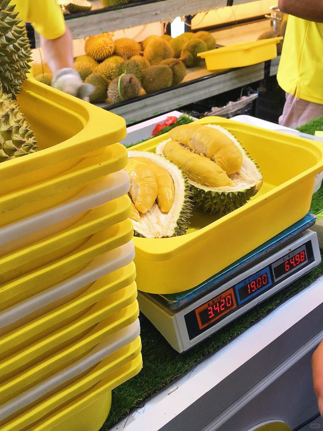 Singapore-99 Old Trees Durian, the best durian in Singapore, don’t miss it