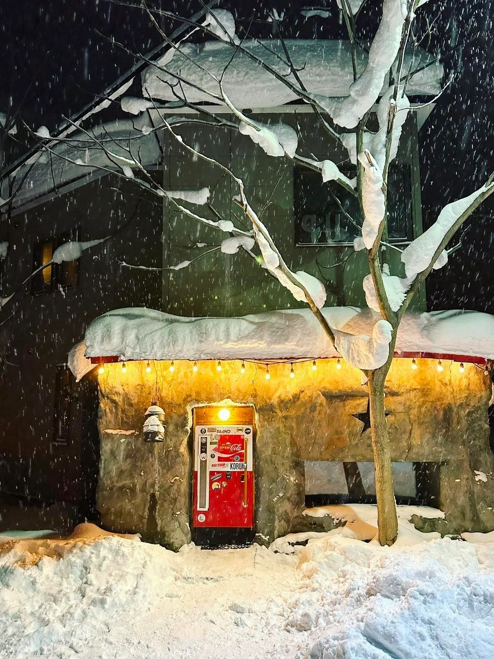 Sapporo/Hokkaido-Hokkaido Bar Gyu, a mysterious bar hidden behind a vending machine