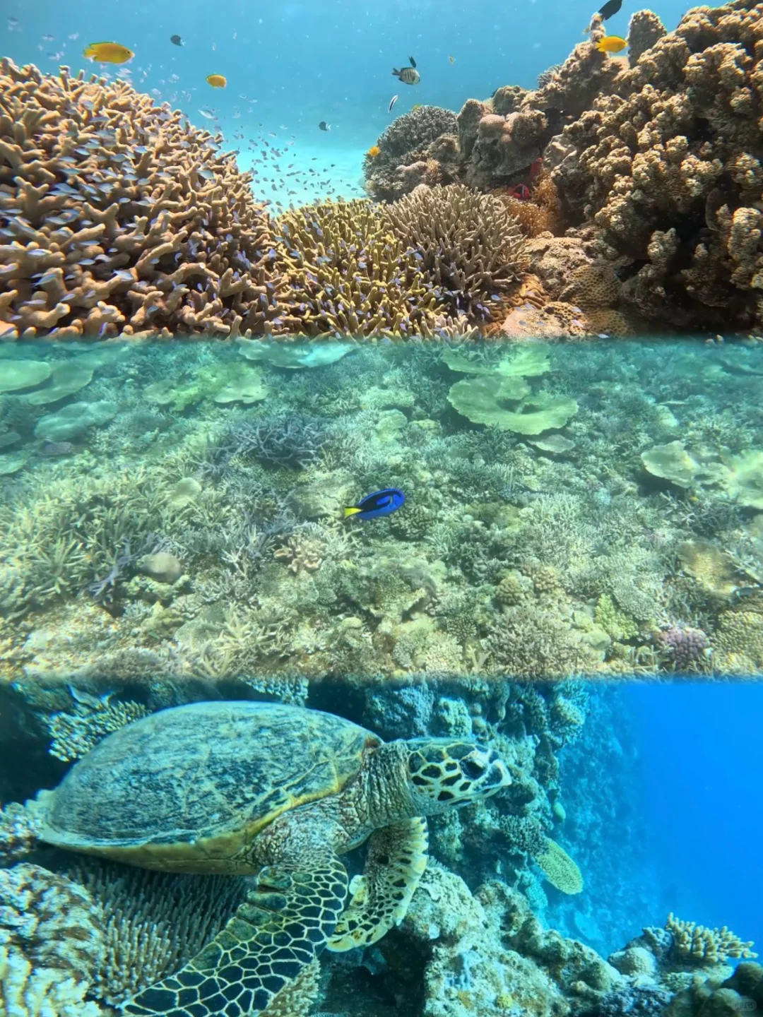 Okinawa-I saw a real glass sea in Okinawa! It was so blue that I was speechless