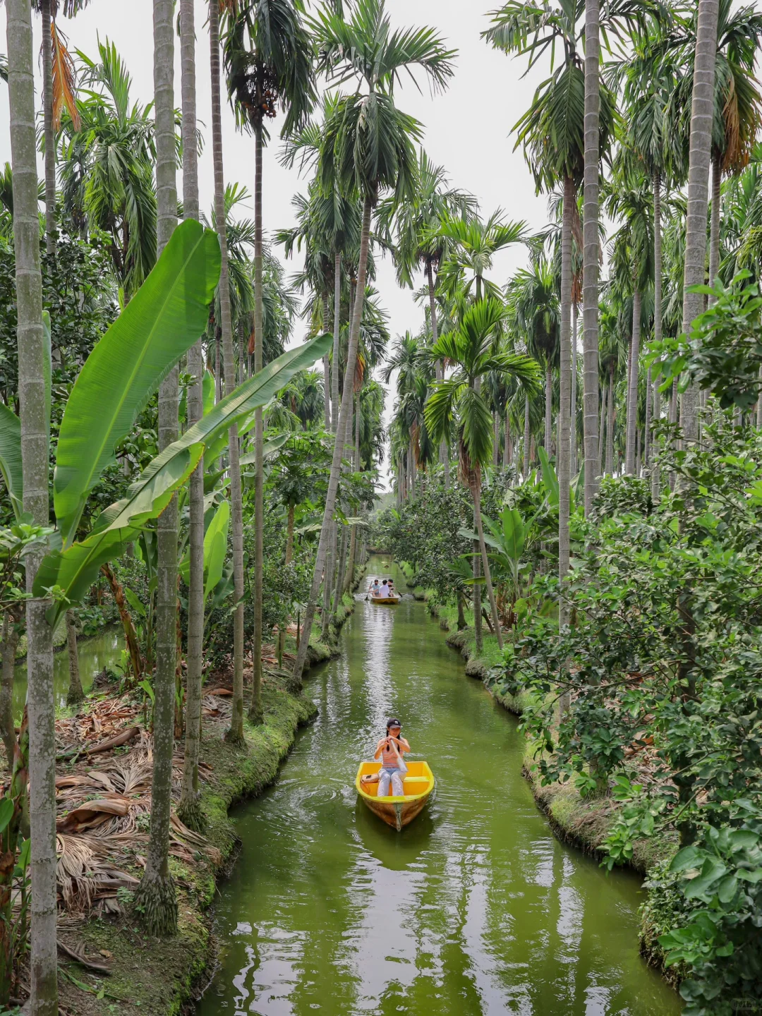 Bangkok-Noir Cafe and Hostel, a cup of coffee ☕️ and unlimited rainforest boating?