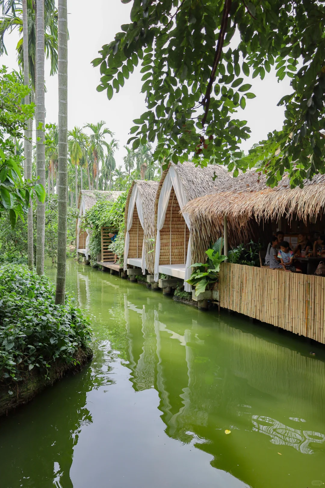 Bangkok-Noir Cafe and Hostel, a cup of coffee ☕️ and unlimited rainforest boating🚣