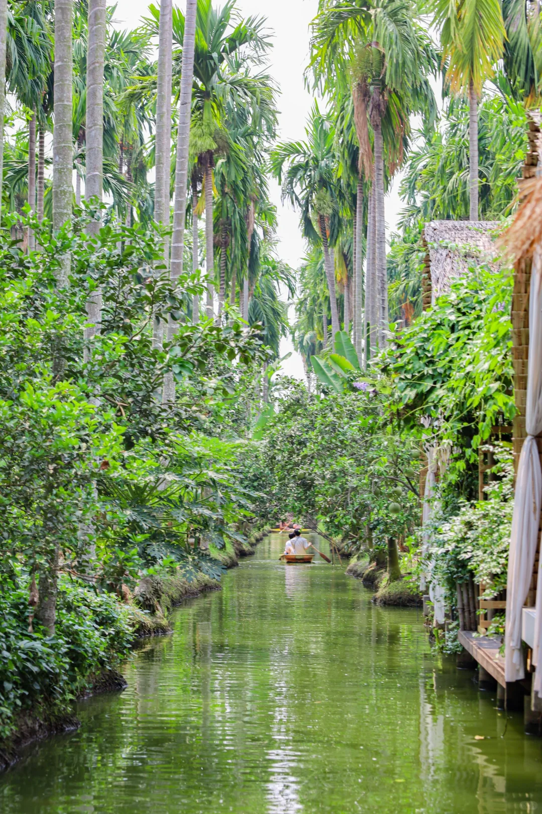 Bangkok-Noir Cafe and Hostel, a cup of coffee ☕️ and unlimited rainforest boating🚣