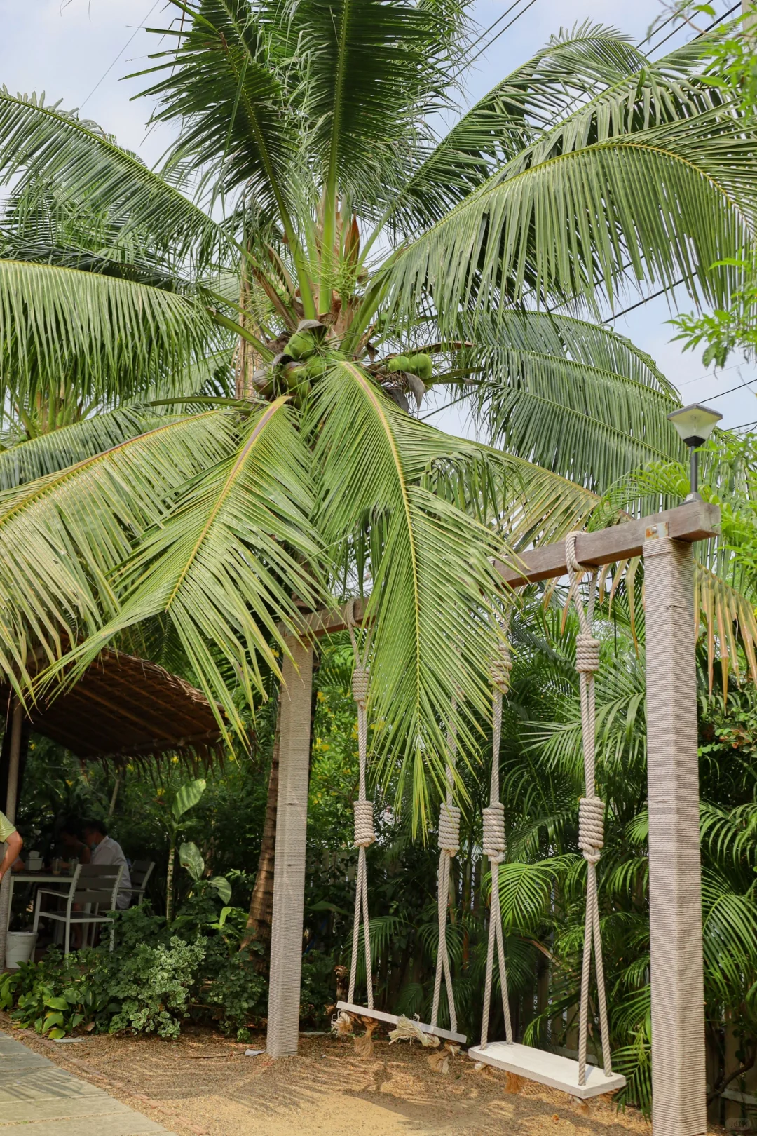 Bangkok-Noir Cafe and Hostel, a cup of coffee ☕️ and unlimited rainforest boating?