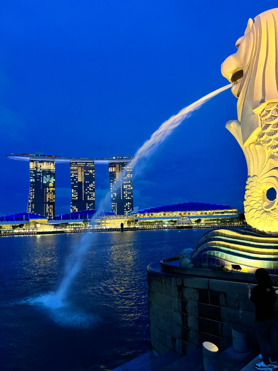 Singapore-Travel guide to Fort Canning Park, Universal Studios and S.E.A. Aquarium