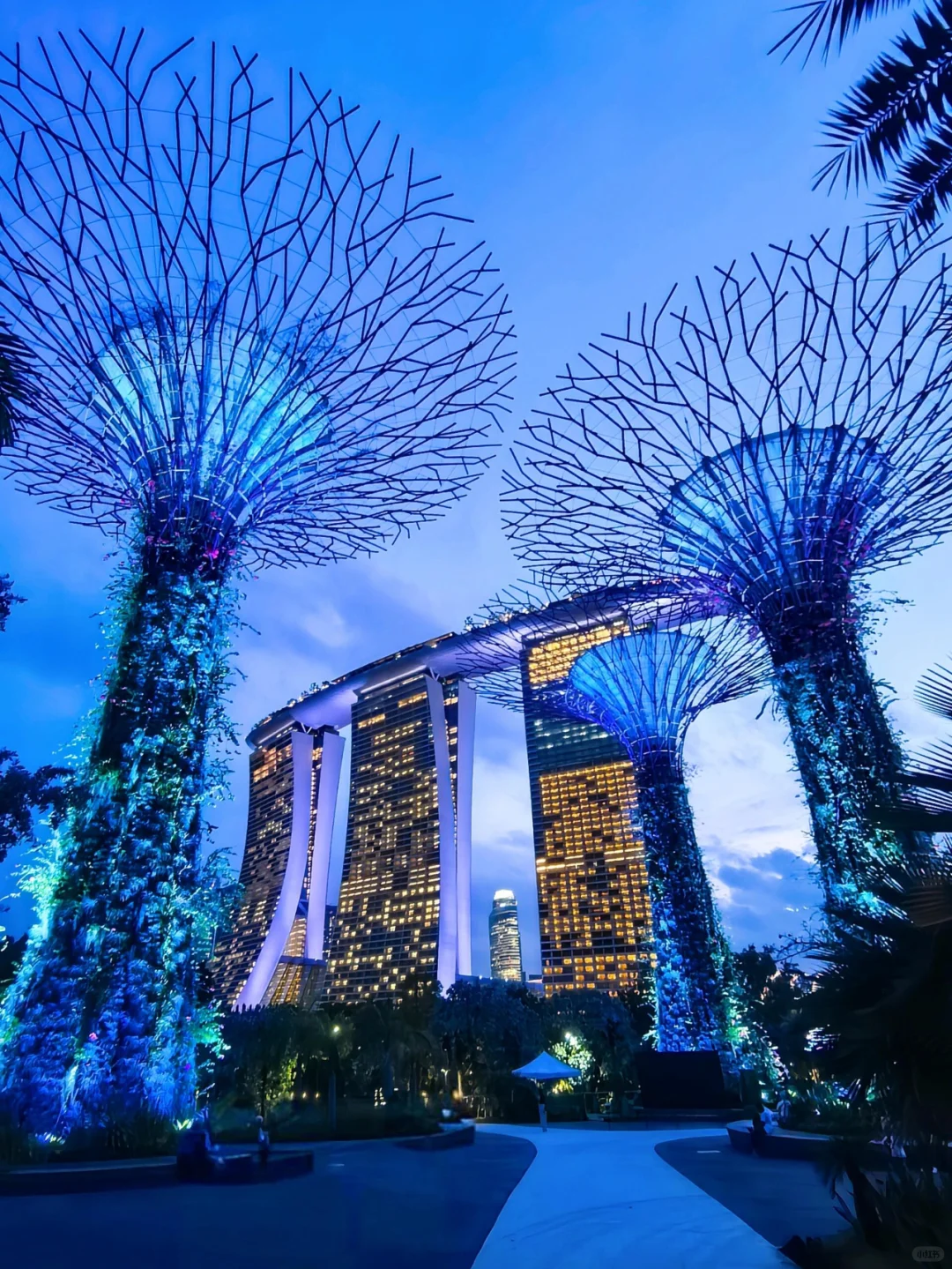 Singapore-Gardens by the Bay is undoubtedly an iconic destination for tourists in Singapore.