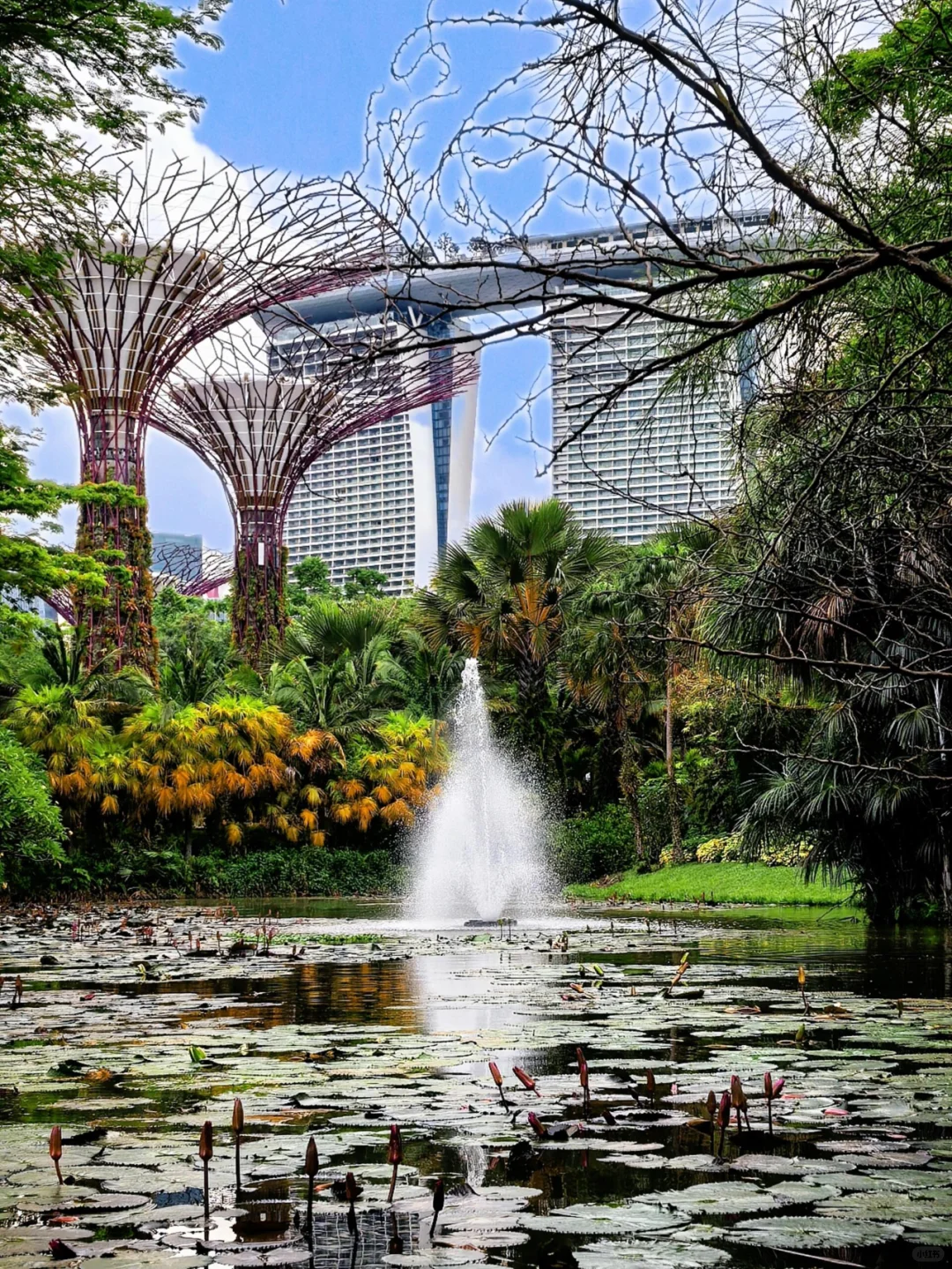 Singapore-Gardens by the Bay is undoubtedly an iconic destination for tourists in Singapore.