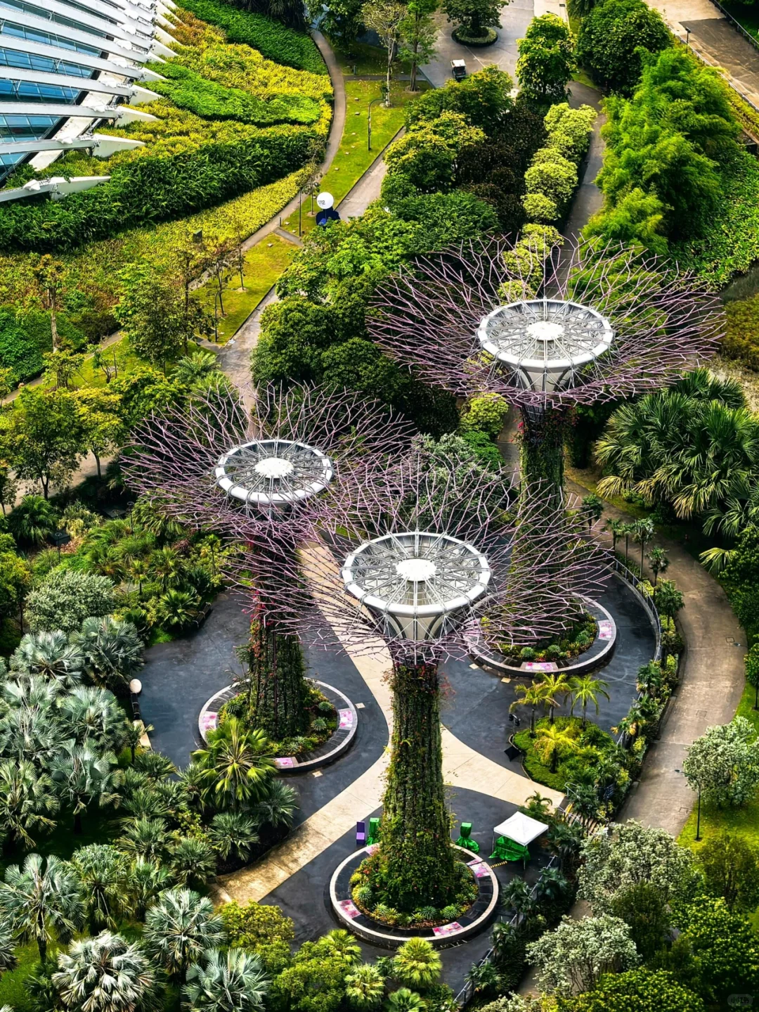 Singapore-Gardens by the Bay is undoubtedly an iconic destination for tourists in Singapore.