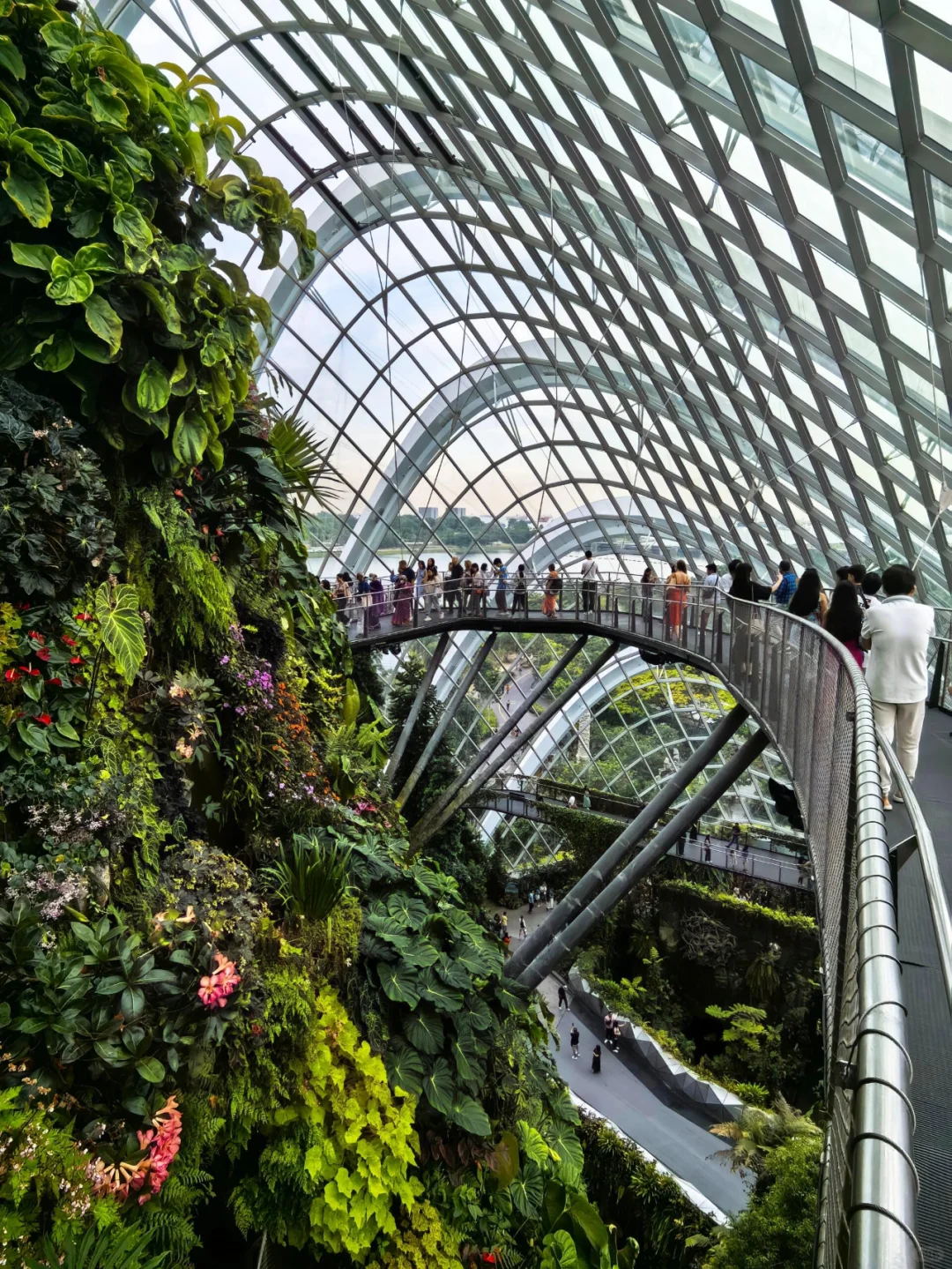 Singapore-Gardens by the Bay is undoubtedly an iconic destination for tourists in Singapore.