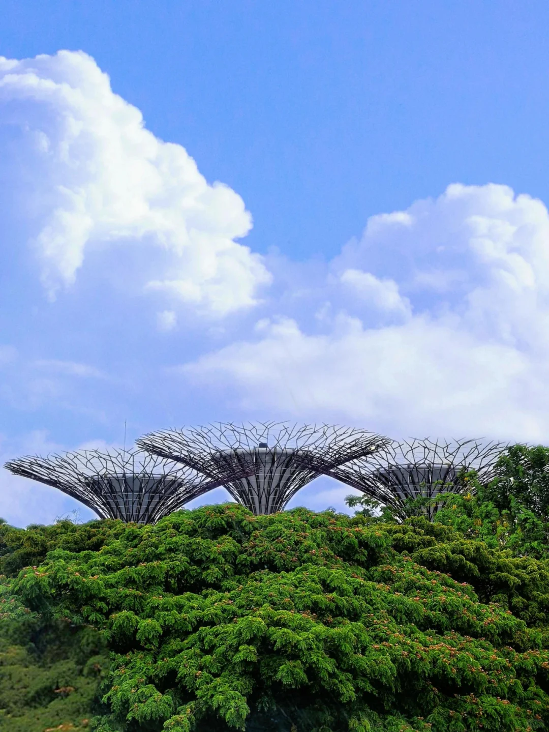 Singapore-Gardens by the Bay is undoubtedly an iconic destination for tourists in Singapore.