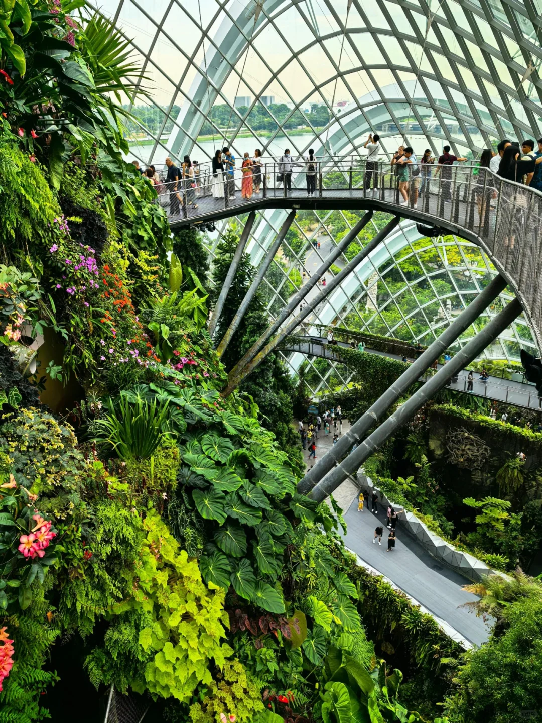 Singapore-Gardens by the Bay is undoubtedly an iconic destination for tourists in Singapore.