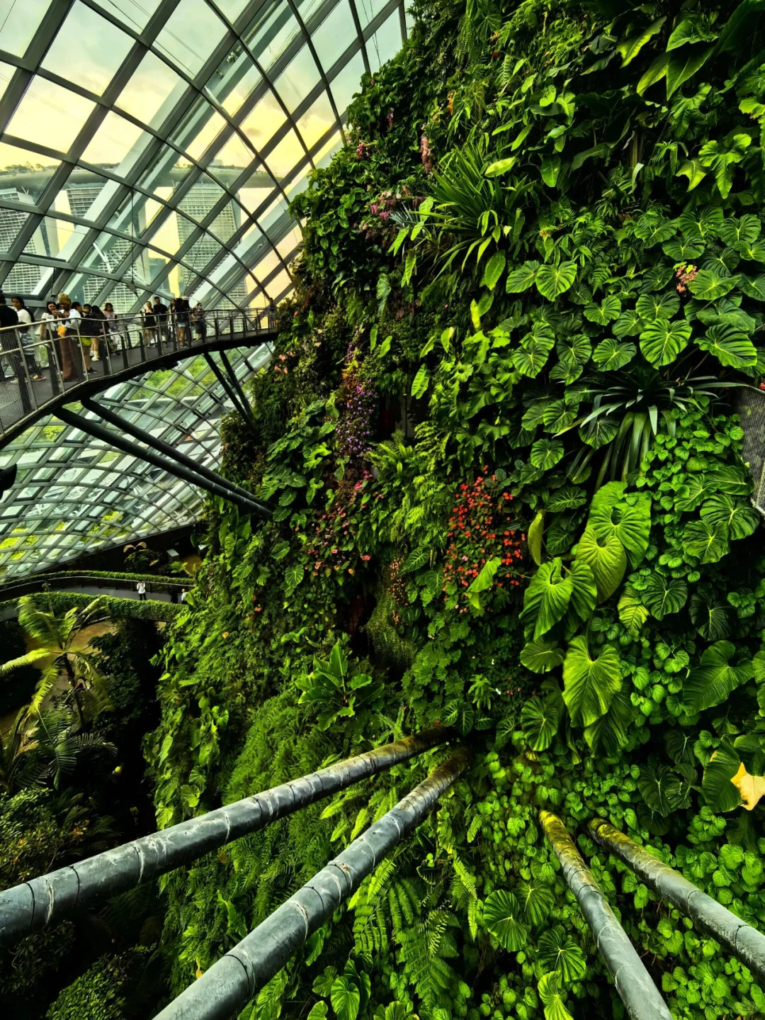 Singapore-Gardens by the Bay is undoubtedly an iconic destination for tourists in Singapore.