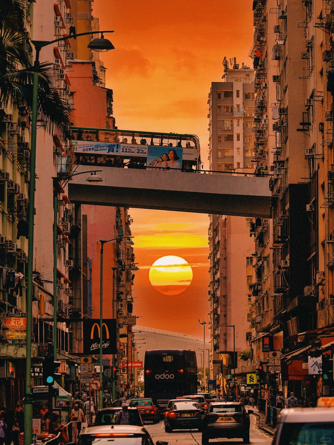 Hong kong-Romantic island trip in Sai Wan, witness the encounter between sunset and island