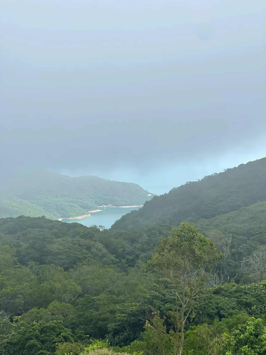 Hong kong-🚡Weekend trip to Hong Kong, the huge Buddha statue on Lantau Island cleanses your soul⛰️