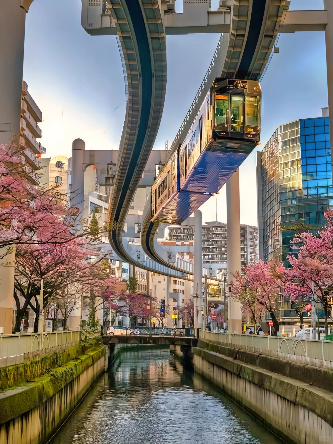 Tokyo-Traveling in Tokyo, Japan | 37 Things to Do in 2024 Latest Highlights