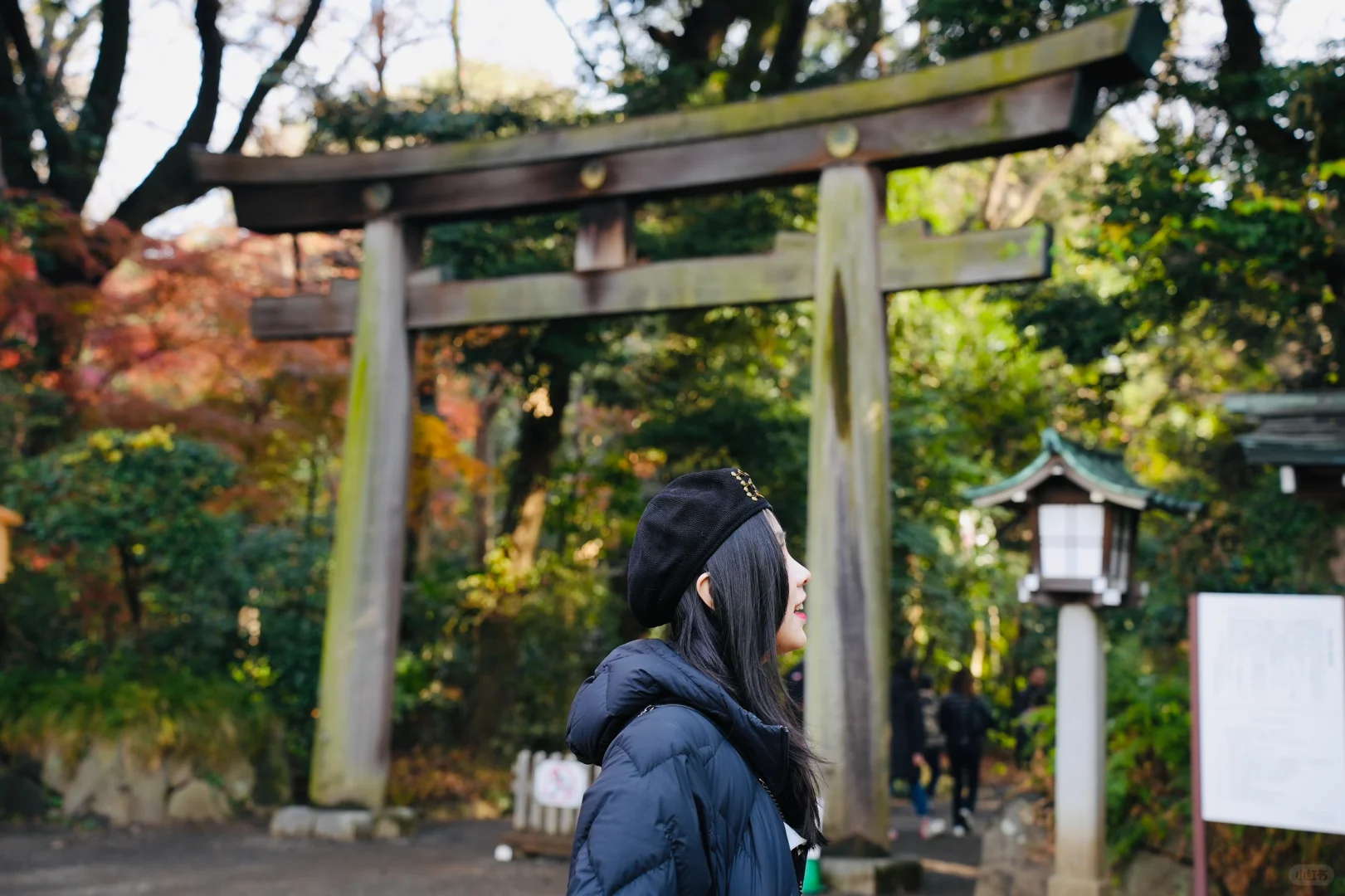 Tokyo-If you only have two days in Tokyo, these are the places to hike