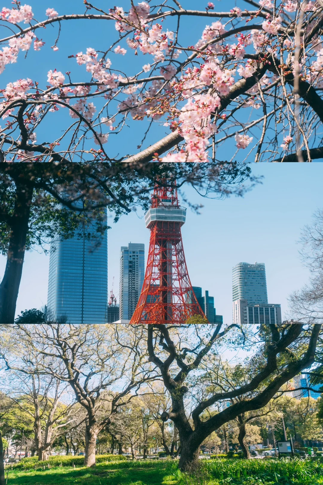 Tokyo-Tokyo Tower🗼6 leg-friendly camera positions📷Take it and take photos