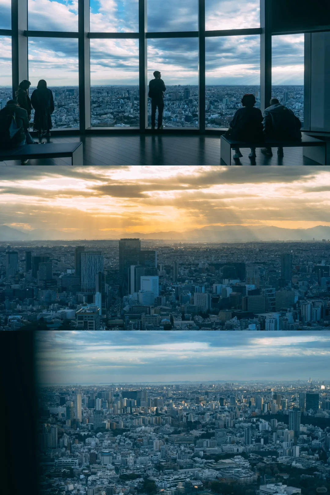 Tokyo-Tokyo Tower🗼6 leg-friendly camera positions📷Take it and take photos