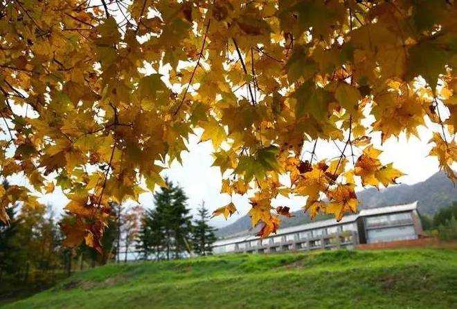 Sapporo/Hokkaido-A group of cost-effective Hokkaido hotels are the best for family vacations