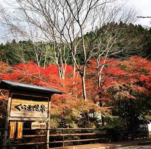 Sapporo/Hokkaido-You must know about the 20 most popular hot spring spots in Japan for Hokkaido people!