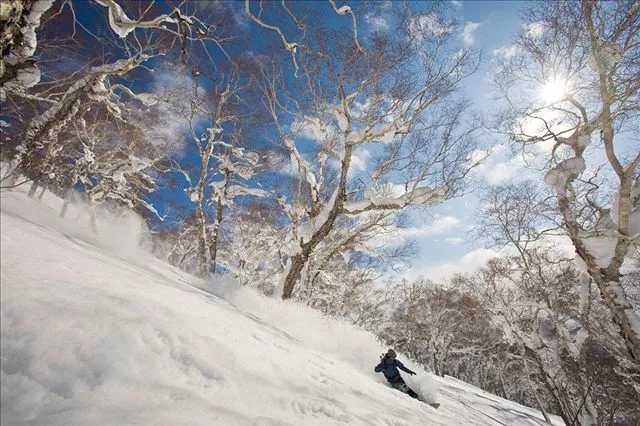 Sapporo/Hokkaido-The five major ski resorts in Hokkaido, Japan, skiing and hot springs are the right way to enjoy winter!