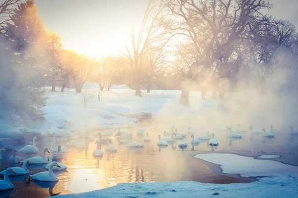 Sapporo/Hokkaido-The five major ski resorts in Hokkaido, Japan, skiing and hot springs are the right way to enjoy winter!