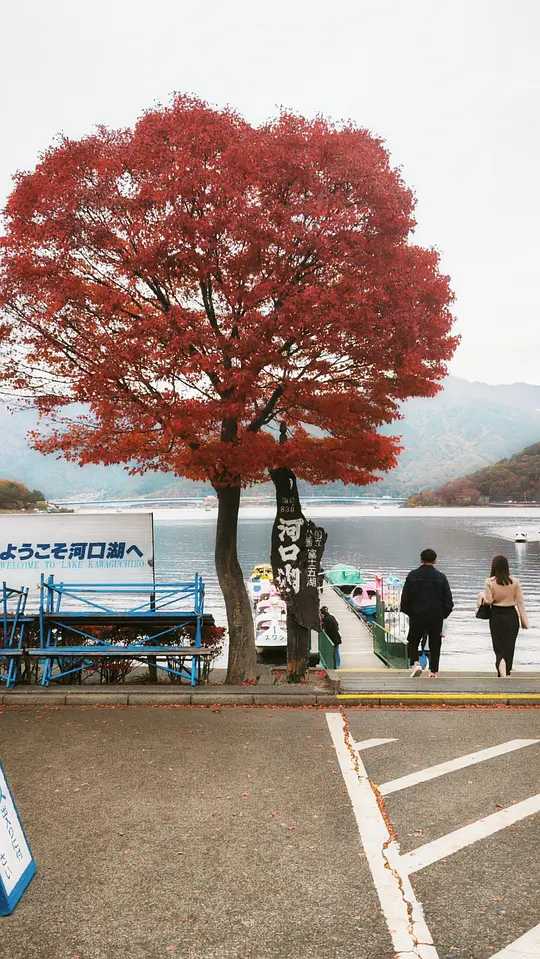 Tokyo-Kawaguchiko, a place where you can see Mount Fuji up close during your trip to Japan