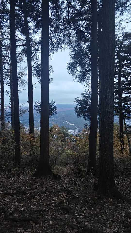 Tokyo-Kawaguchiko, a place where you can see Mount Fuji up close during your trip to Japan