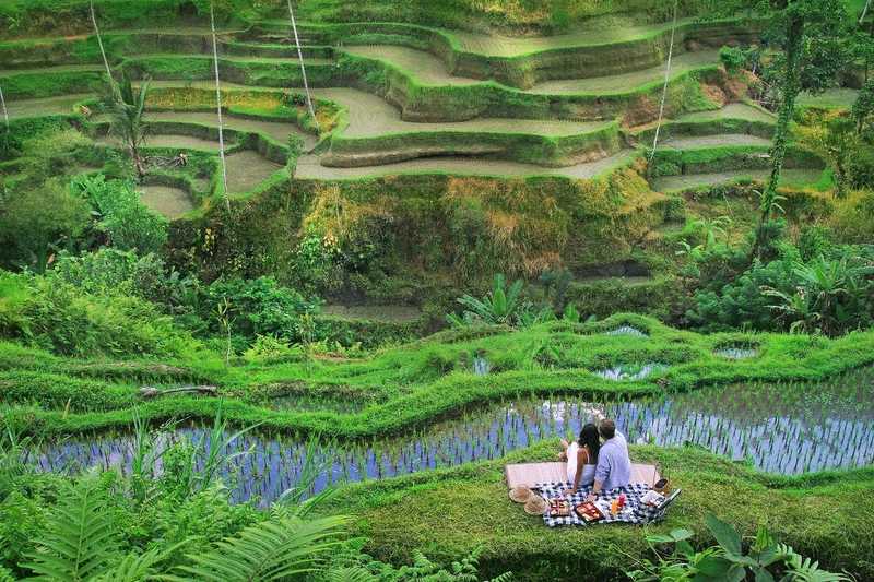 Bali-Ubud Infinity Pool in Bali | Enjoy it from as low as $60+ per person per night