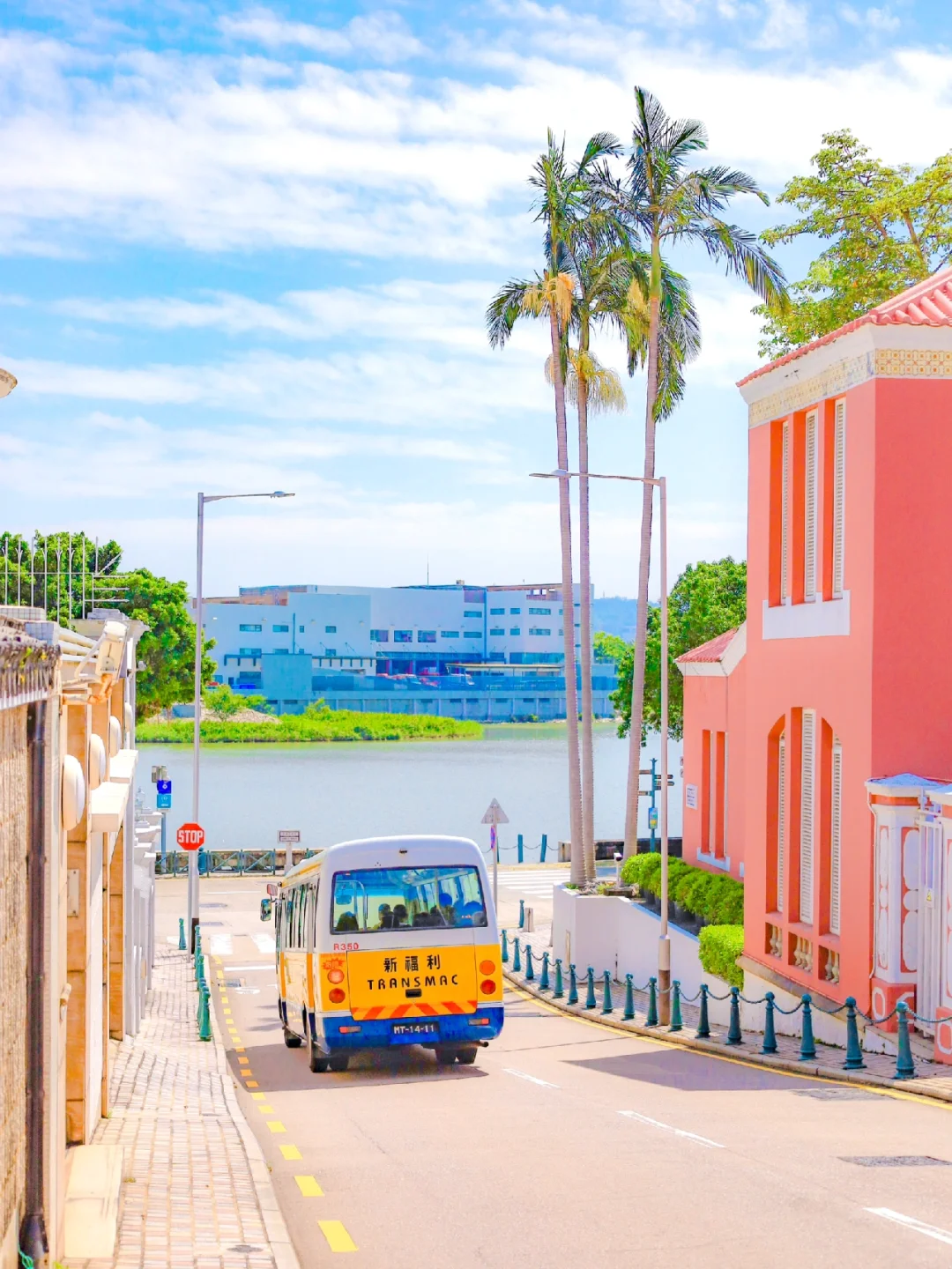 Macao-Macau city walking tour, pink romantic path leading to the seaside🚌