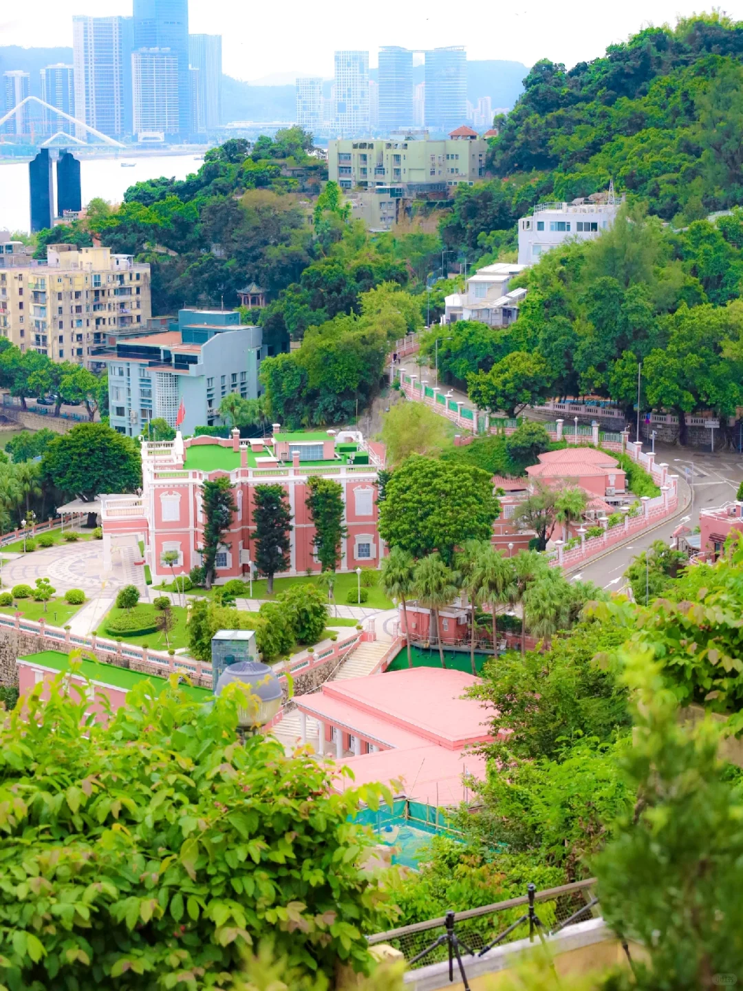 Macao-Macau city walking tour, pink romantic path leading to the seaside🚌