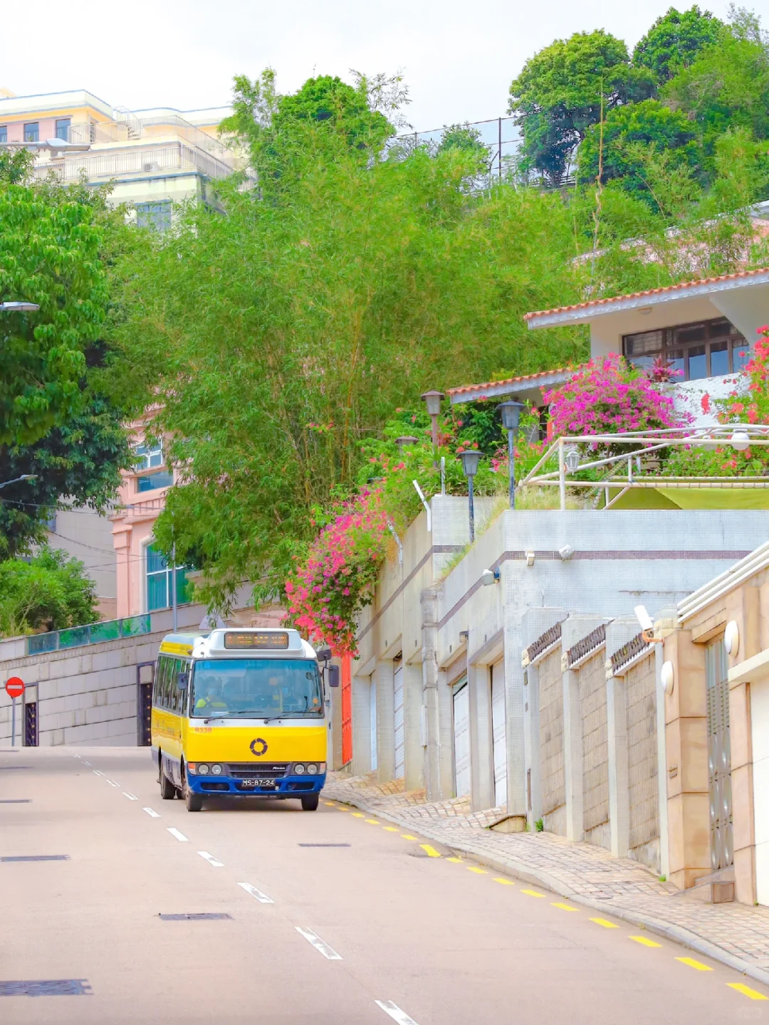 Macao-Macau city walking tour, pink romantic path leading to the seaside?