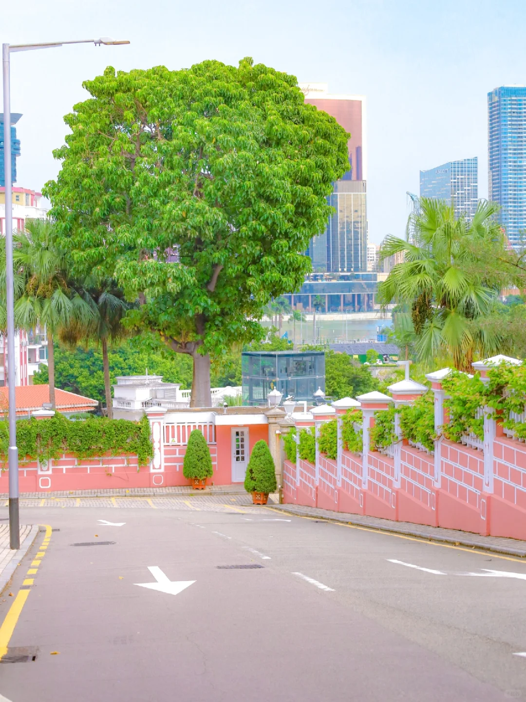 Macao-Macau city walking tour, pink romantic path leading to the seaside🚌