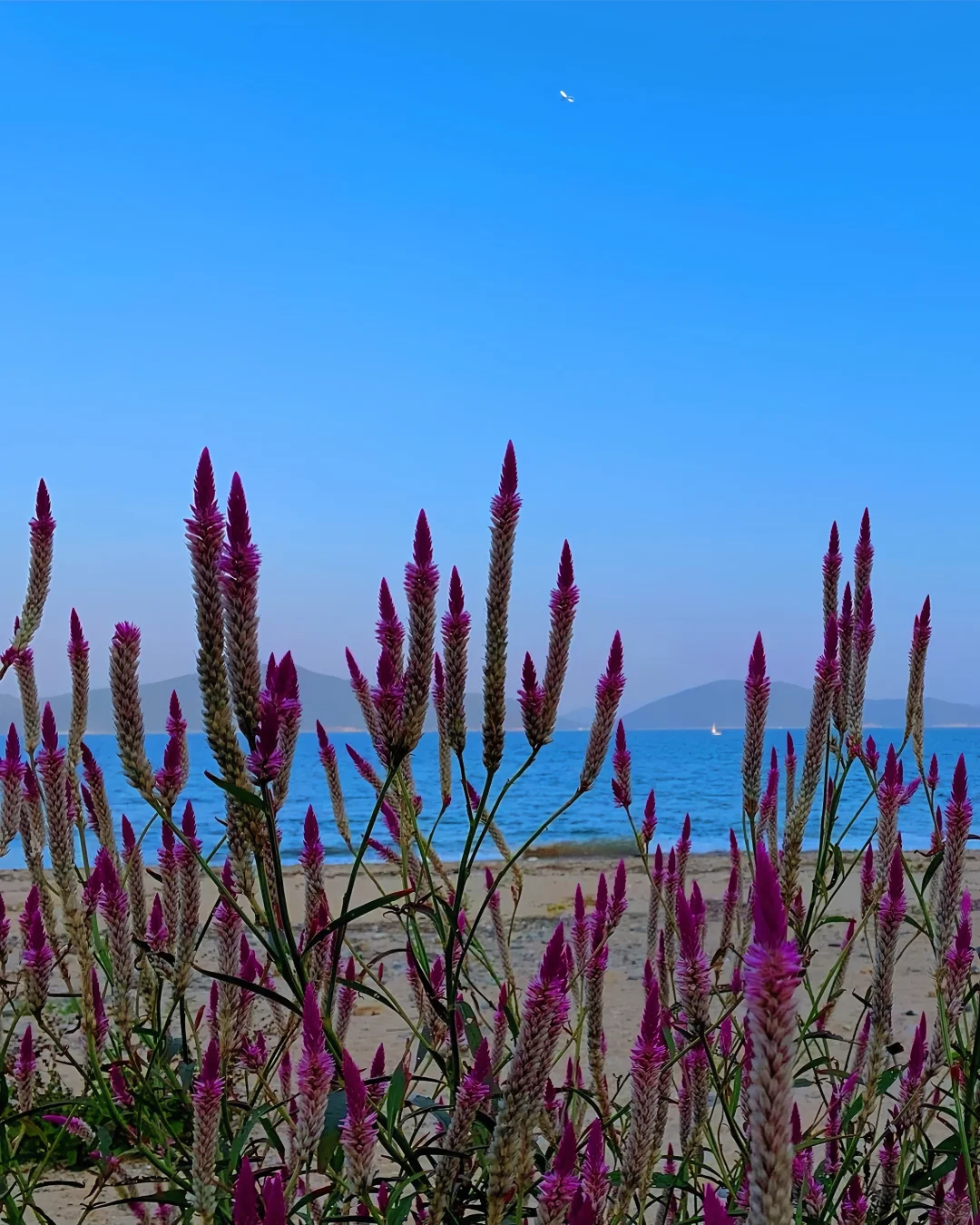 Hong kong-Hong Kong's romance is half about the sea, a place for spiritual healing