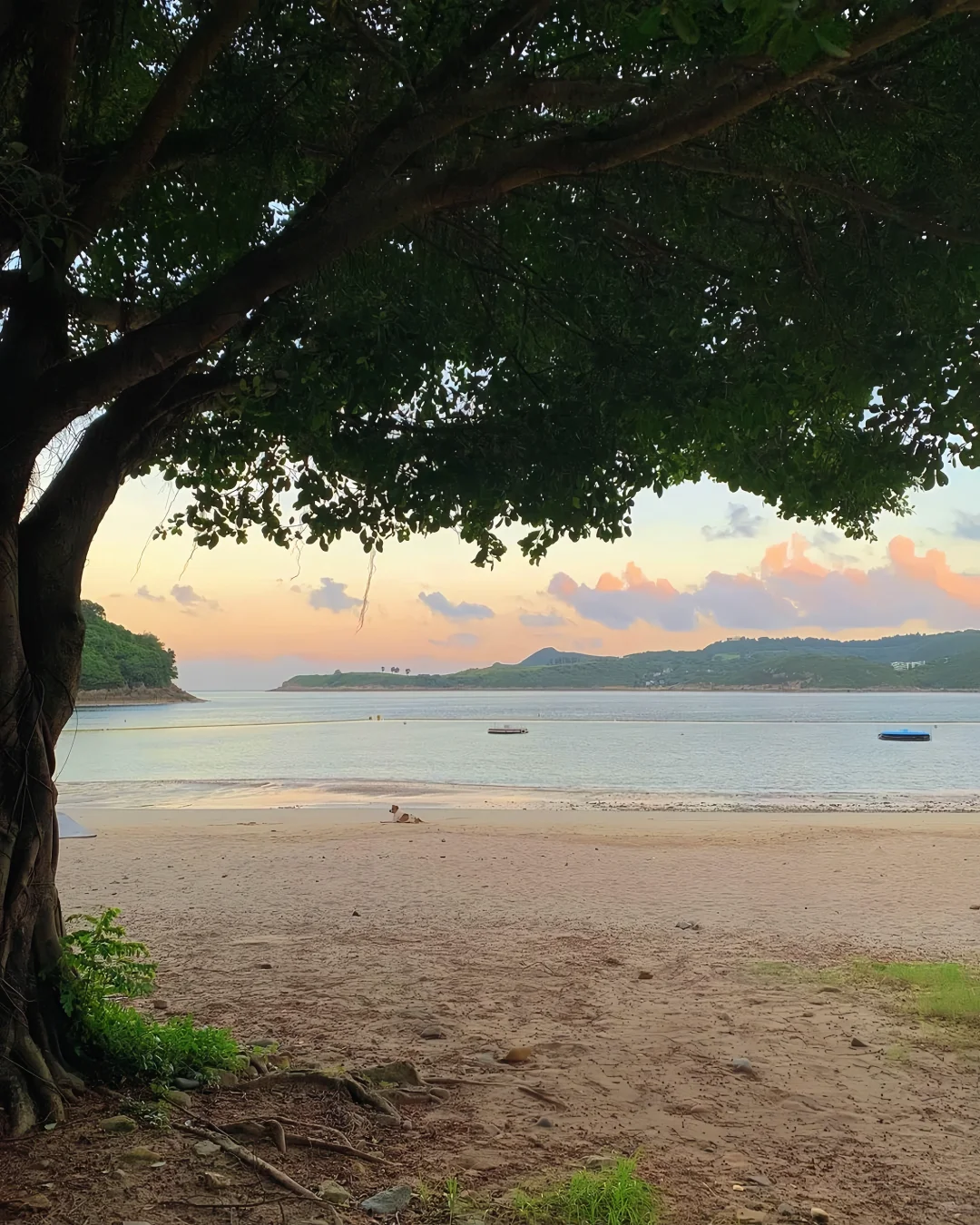 Hong kong-Hong Kong's romance is half about the sea, a place for spiritual healing