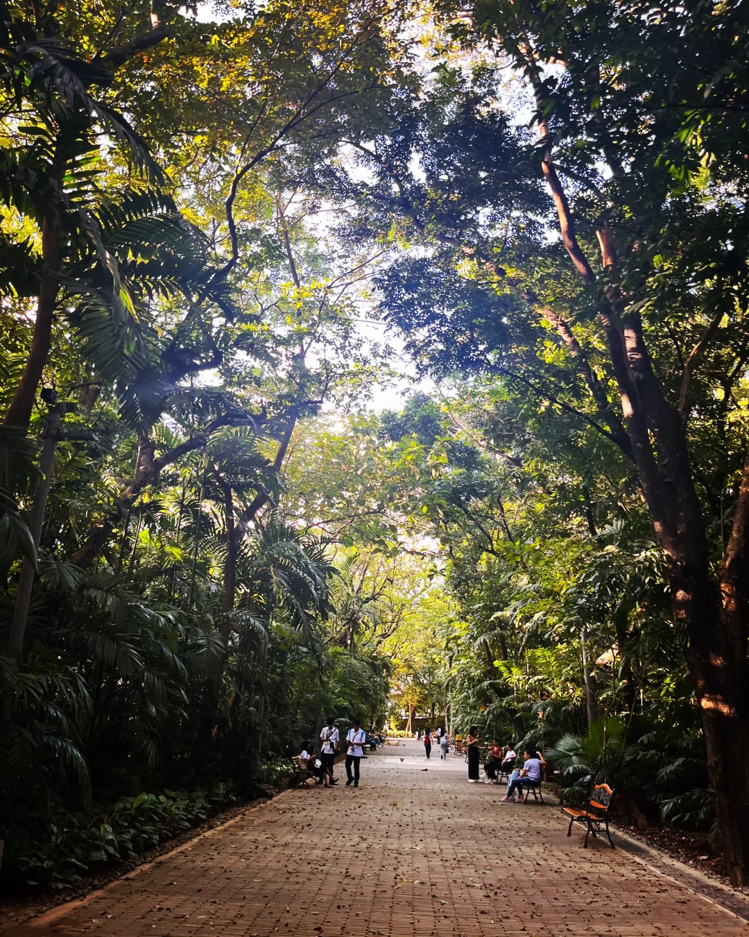 Manila/Luzon-Parque de Aroseiros, a riverside urban forest park, is a great place to relax