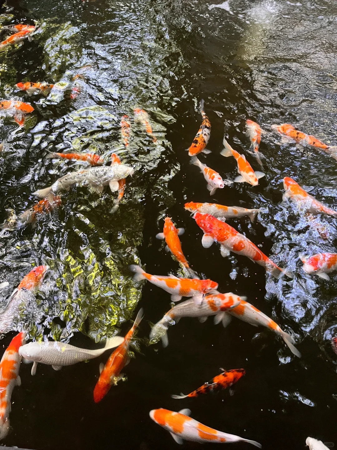 Manila/Luzon-Parque de Aroseiros, a riverside urban forest park, is a great place to relax