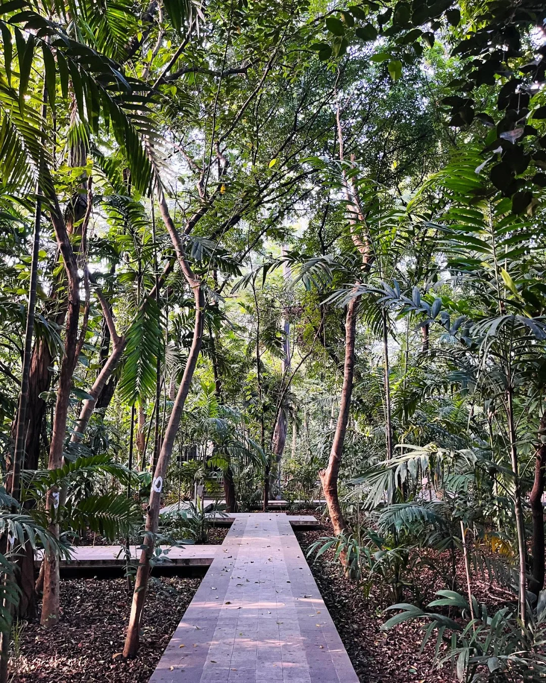 Manila/Luzon-Parque de Aroseiros, a riverside urban forest park, is a great place to relax