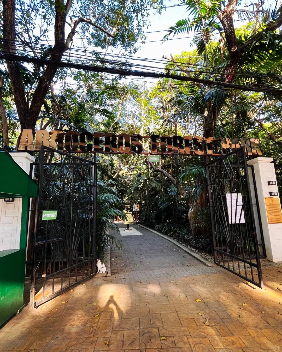 Manila/Luzon-Parque de Aroseiros, a riverside urban forest park, is a great place to relax