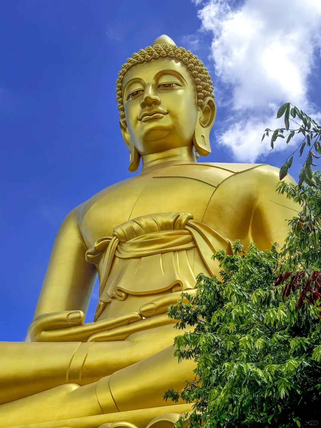 Bangkok-The Buddha statue at Watergate Temple and the photo taking angle at the Waterworks Cafe are very nice